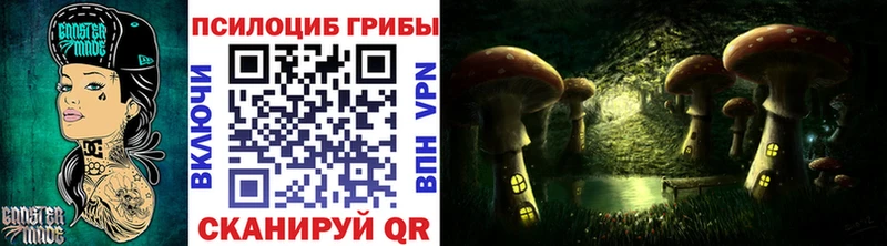 Купить  Курск  Псилоцибиновые грибы Magic Shrooms 