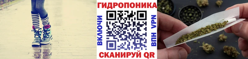 Конопля план  Купить закладки  Курск 